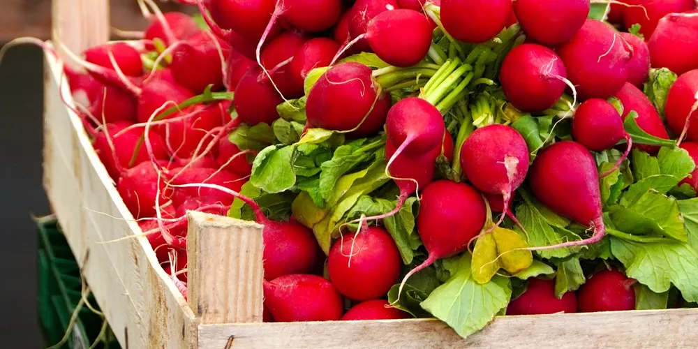 Empresários de Curitiba e da região metropolitana estão cada vez mais valorizando os produtos locais de Ponta Grossa.