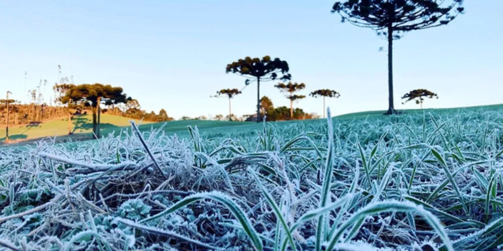 No Paraná as geadas costumam ocorrer em junho, julho e agosto
