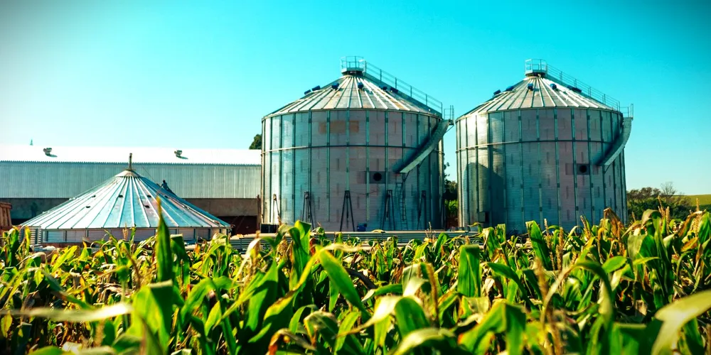 Plano Safra 2024/2025 foi anunciado na última quarta-feira (3)