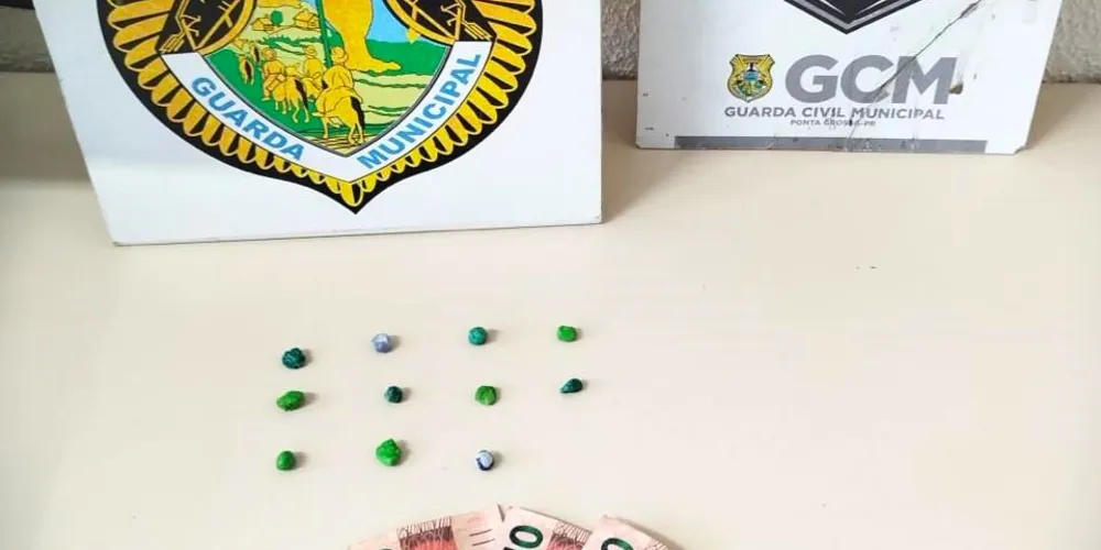Drogas foram encaminhadas à delegacia de Ponta Grossa