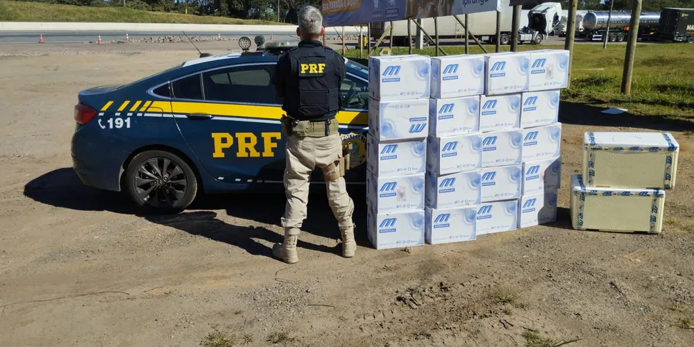 Caixas estavam em área de mata próxima à rodovia