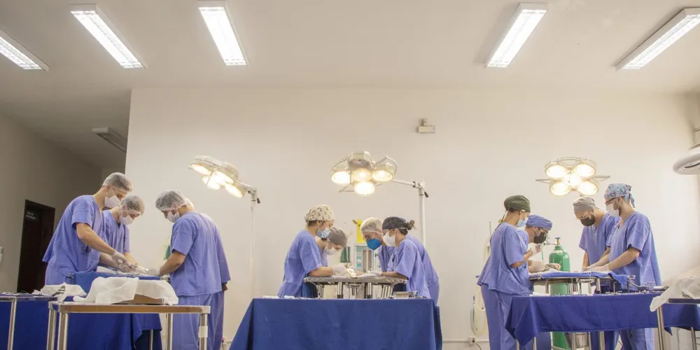 No Paraná, 21 cursos foram avaliados, sendo que seis tiraram a nota máxima