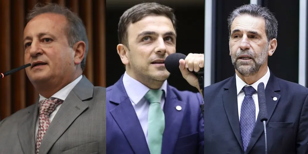 Moacyr Fadel, Aliel Machado e Ênio Verri estão entre os homenageados