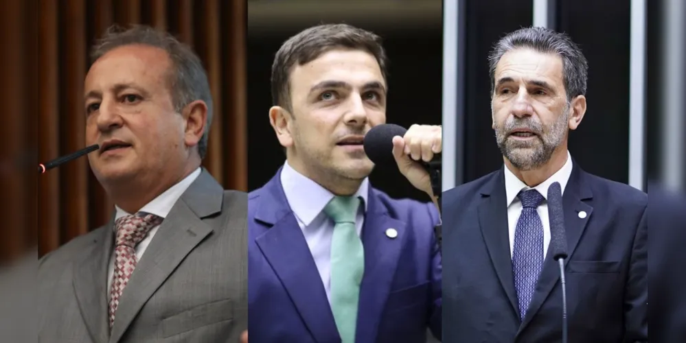 Moacyr Fadel, Aliel Machado e Ênio Verri estão entre os homenageados