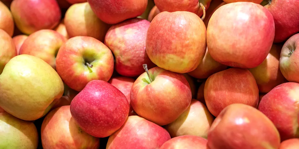 O estudo mostrou que comer duas maçãs por dia fez com que o nível de colesterol ruim (LDL) dos voluntários cair