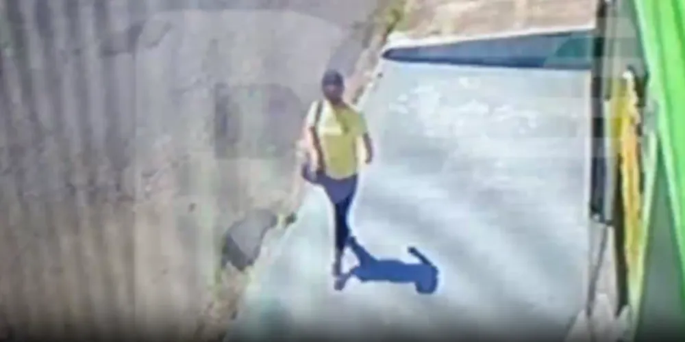 Câmera de segurança flagrou a ação da mulher