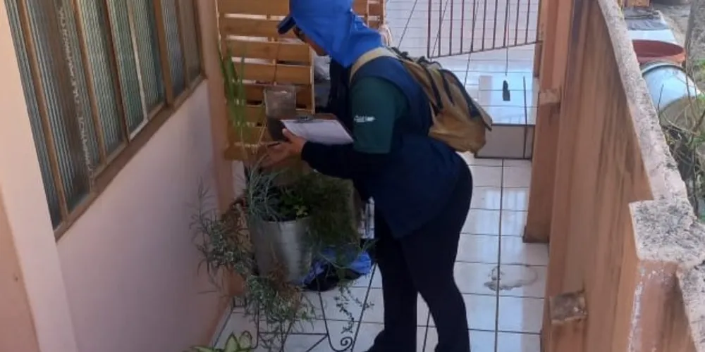 Ainda nesta semana, as equipes da Prefeitura passarão pelas regiões do Jardim Conceição, Vilas Francelina e Ana Rita