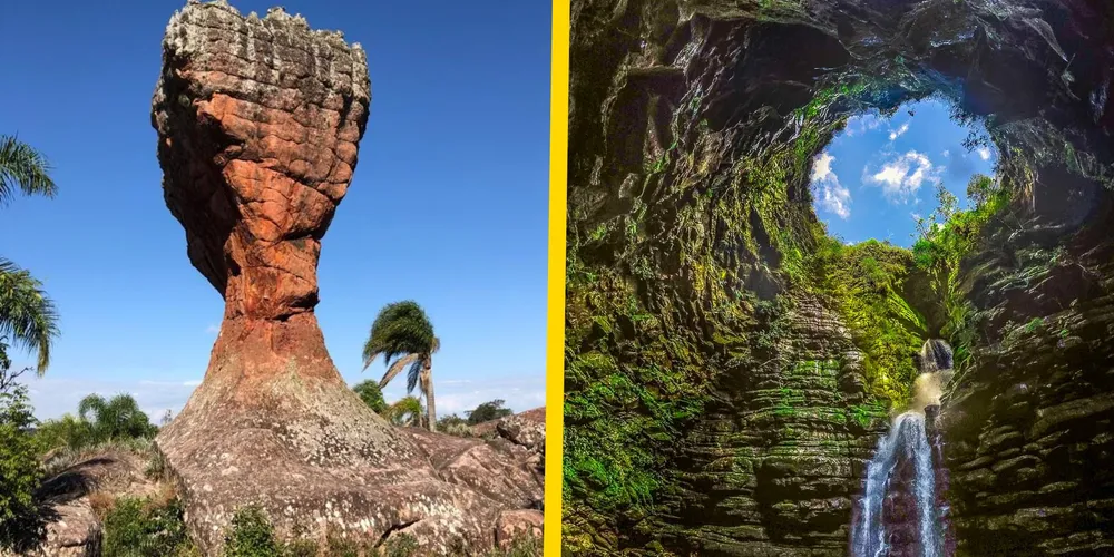 Professores terão entradas gratuitas em parques naturais de Ponta Grossa