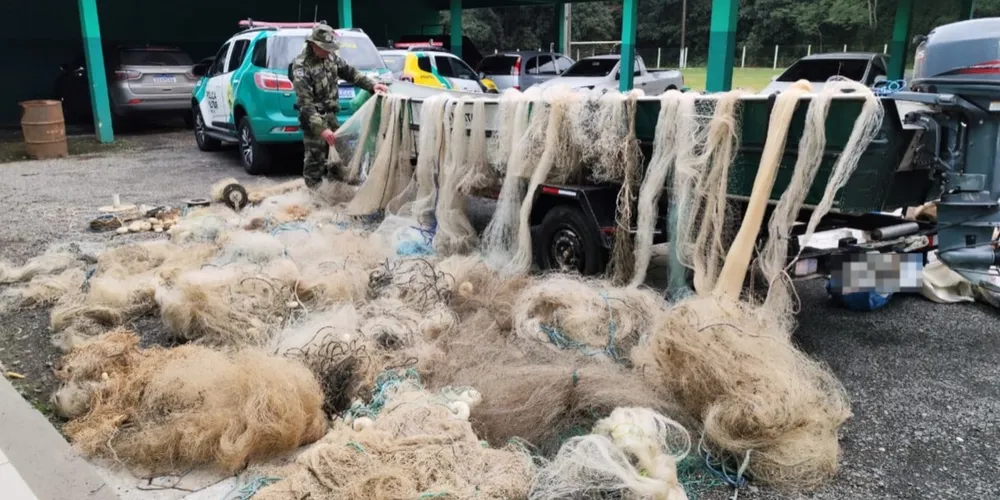 Apreensão aconteceu na localidade de Surivi, em Carambeí
