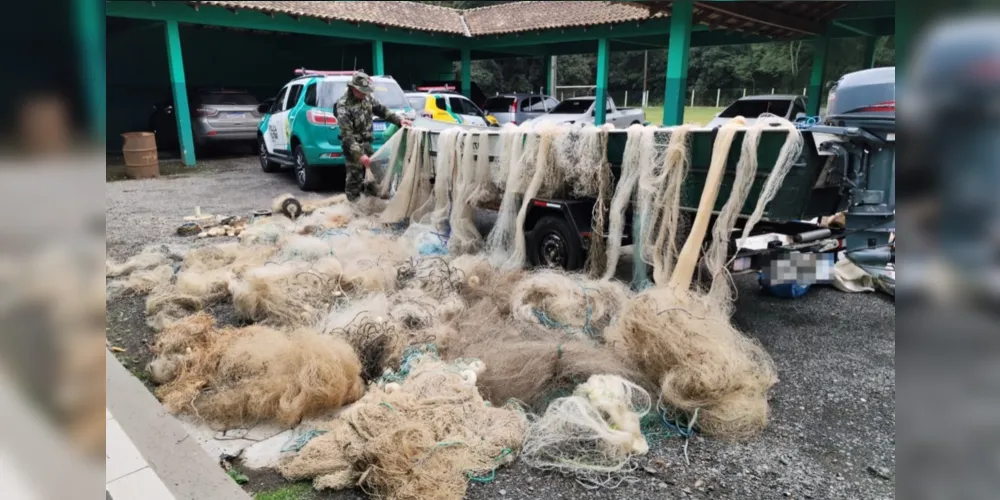 Apreensão aconteceu na localidade de Surivi, em Carambeí