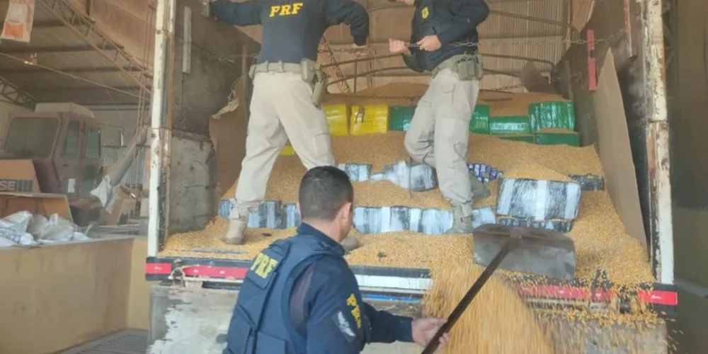 Droga estava escondida em carga de milho