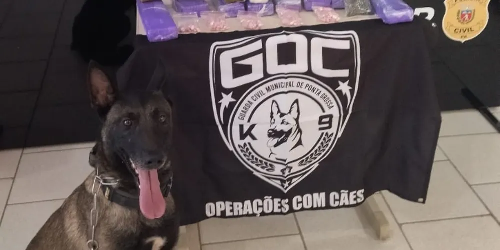 Última fase da operação aconteceu na sexta-feira (14)