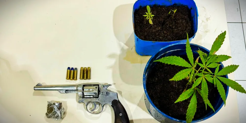 Objetos foram apreendidos pelas autoridades policiais