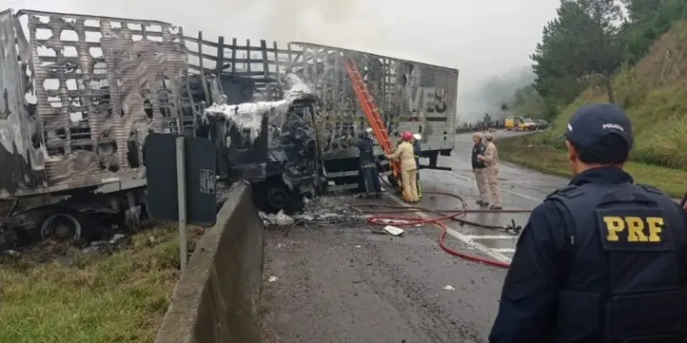 Fato aconteceu em Campina Grande do Sul, na Região Metropolitana de Curitiba