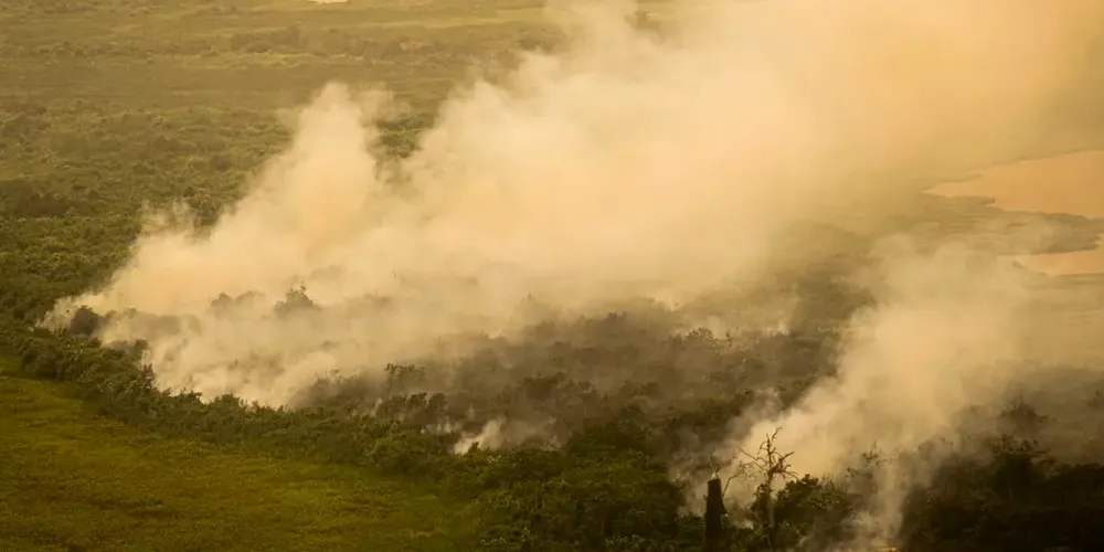 Diversos órgãos e agências atuam em conjunto na ação de combate ao incêndio no Pantanal
