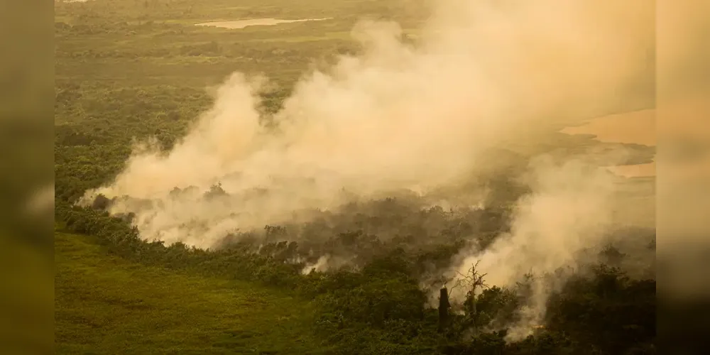 Diversos órgãos e agências atuam em conjunto na ação de combate ao incêndio no Pantanal