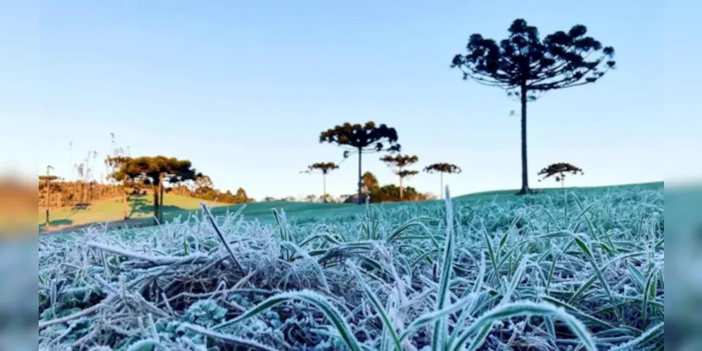 Temperaturas devem cair no Paraná, nos próximos dias