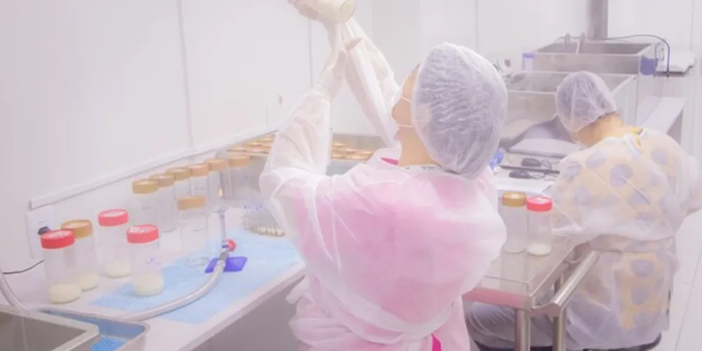 HU-UEPG realiza evento em comemoração ao Dia Mundial da Doação de Leite