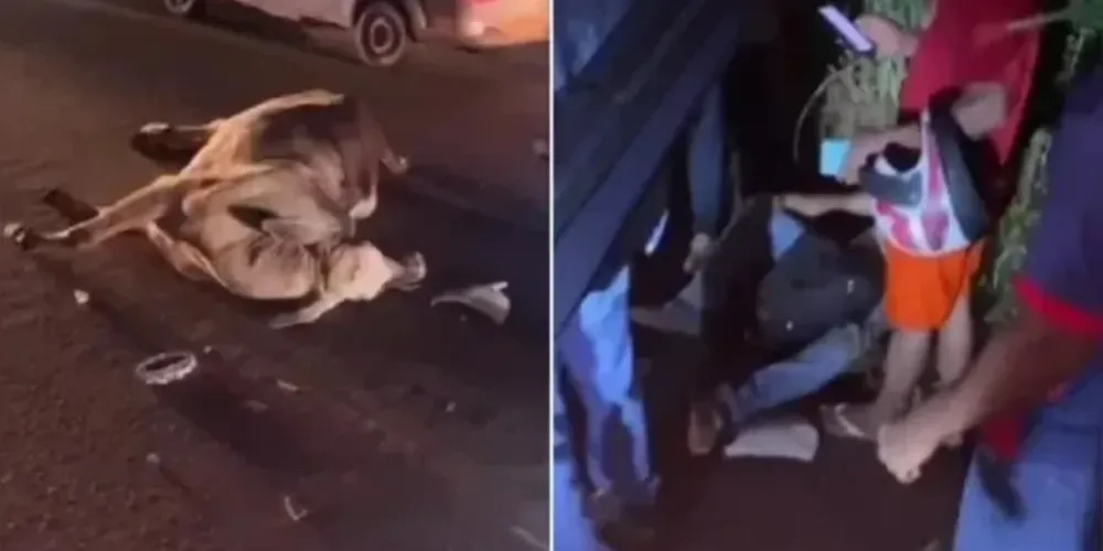 Cena assustou quem passava pelo local do acidente