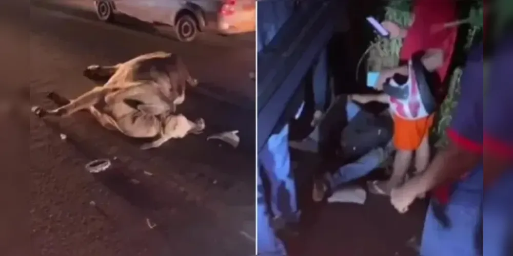 Cena assustou quem passava pelo local do acidente