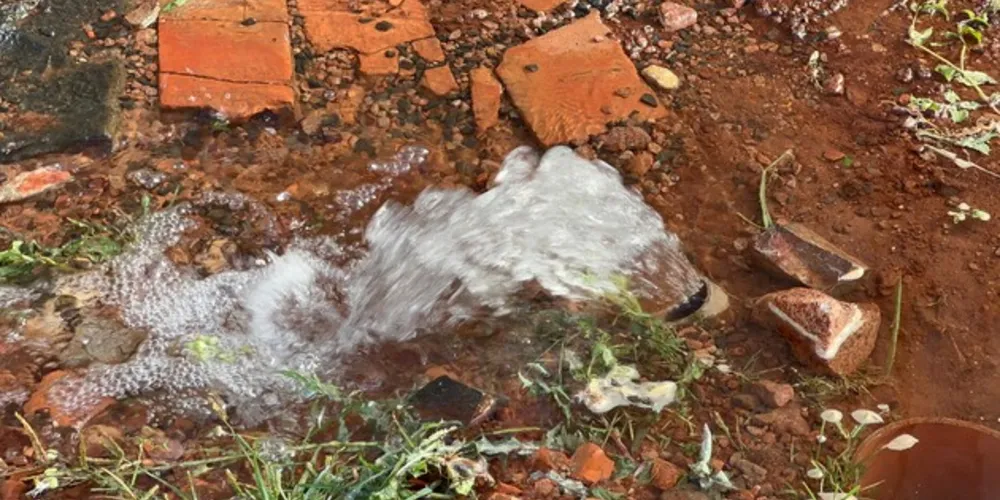 Situação aconteceu na rua Marquês de Souza