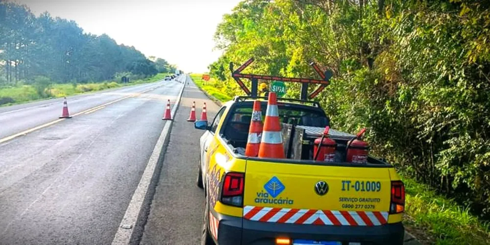 Trabalhos da concessionária começaram em 28 de fevereiro de 2024