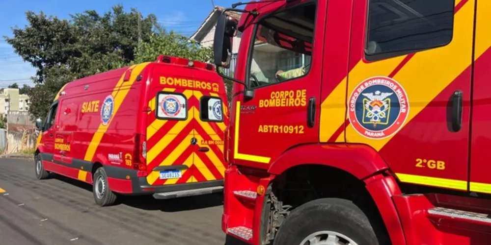 Imagem ilustrativa da imagem Homem tem crise nervosa e aciona Bombeiros em PG