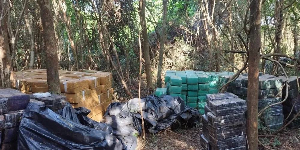 A Polícia Federal continuará vigilante e atuante na missão de proteger a sociedade