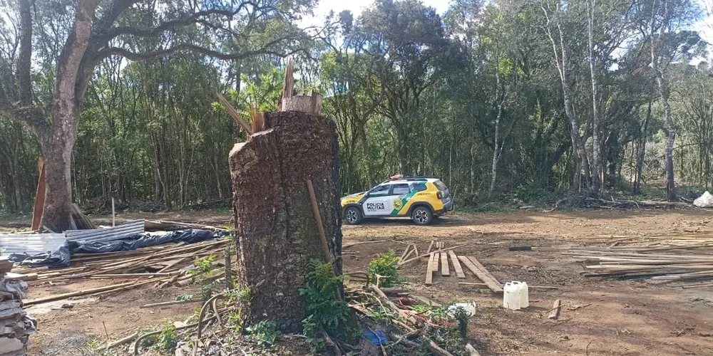 O proprietário foi multado e responderá criminalmente pelos danos