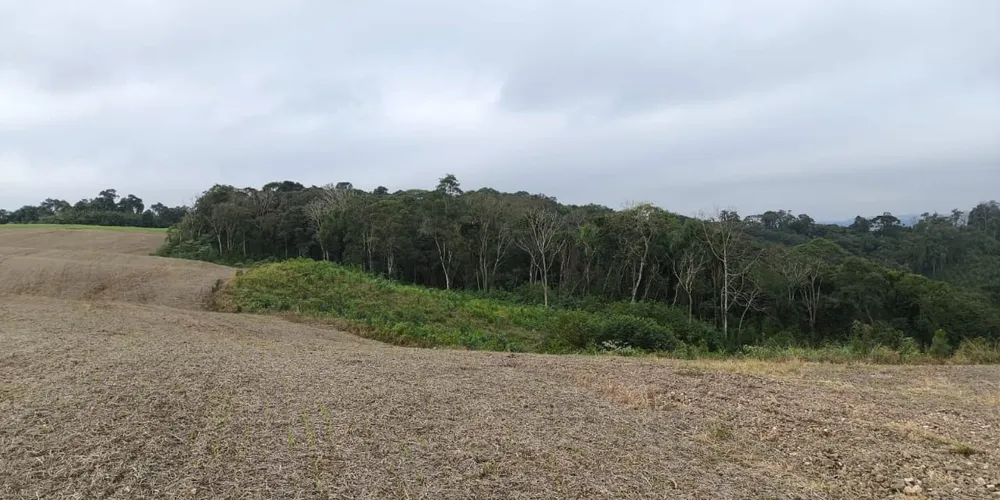 Homem responderá criminalmente pelos danos