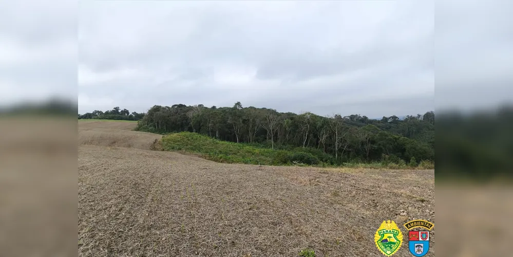 Homem responderá criminalmente pelos danos