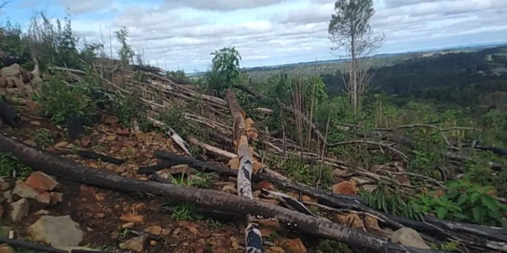 Imagem ilustrativa da imagem Homem é multado em R$ 148 mil por danos ambientais no PR