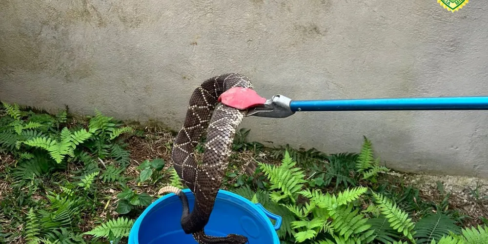 Situação aconteceu nessa terça-feira (4)