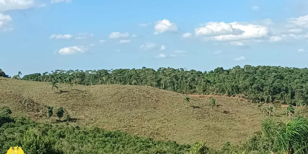 A denúncia foi registrada na localidade de Bom Retiro