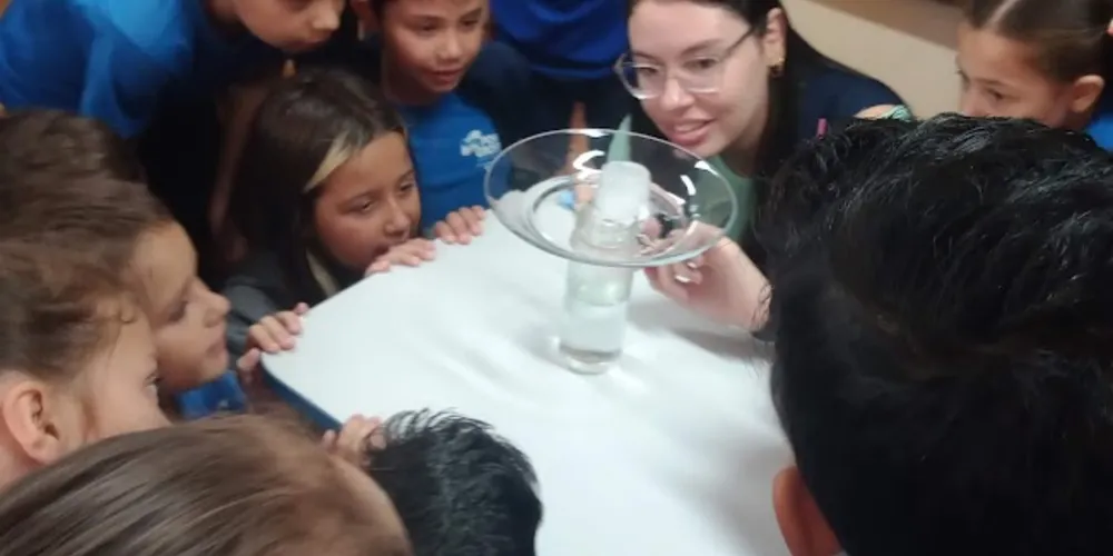A sequência de atividades incluiu estudos práticos e teóricos, visando despertar o interesse total dos alunos pelo tema