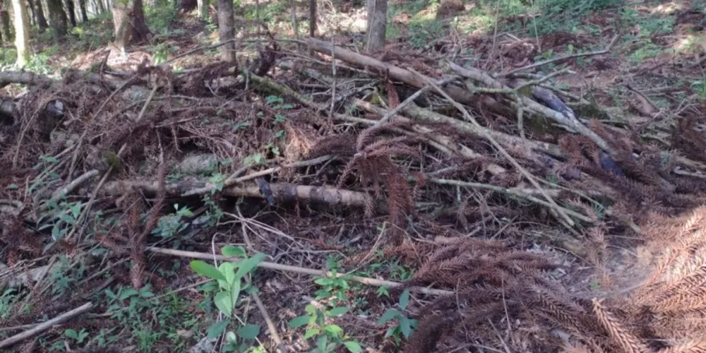 Situação aconteceu nessa terça