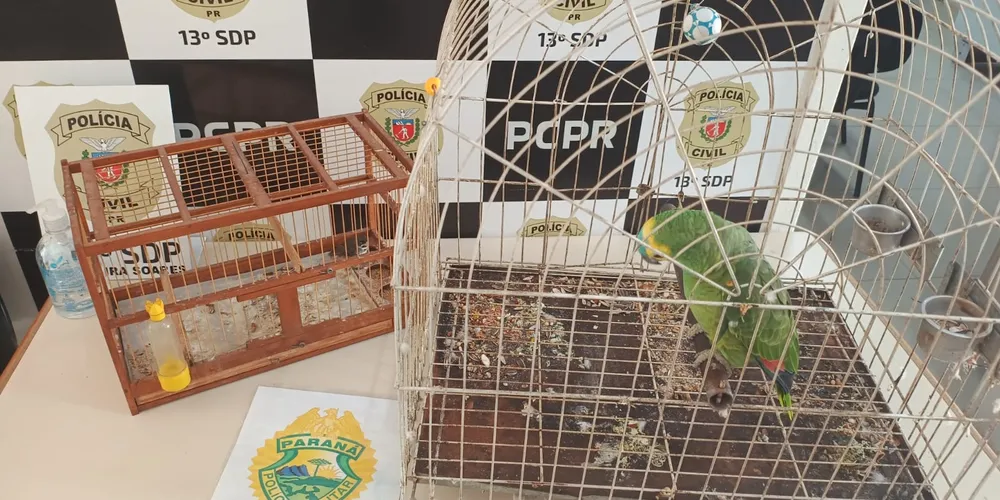 Ele foi autuado em R$ 1 mil pelo crime