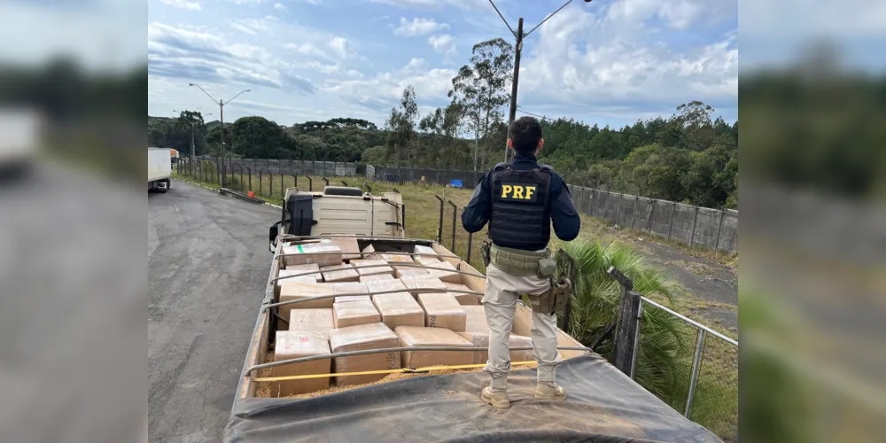 O condutor alegou que estava transportando a mercadoria de Cascavel para Curitiba