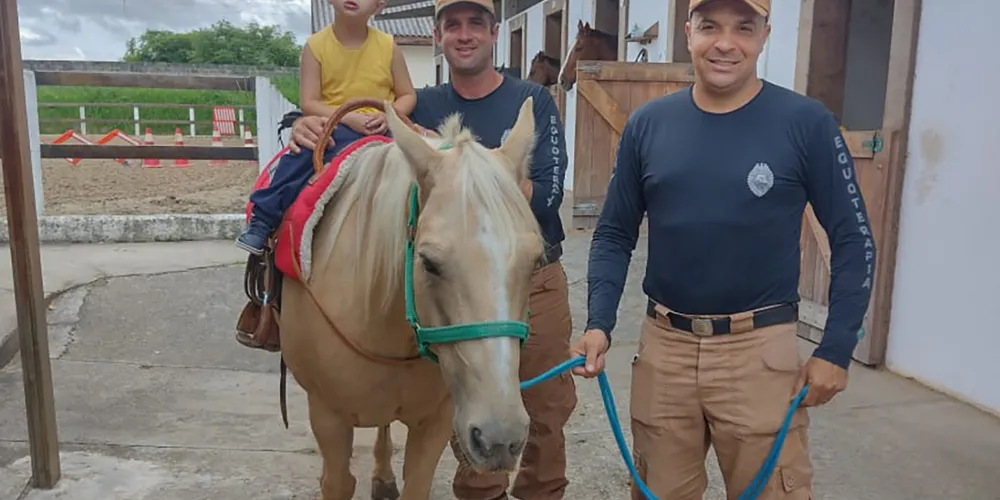 Terapia com cavalos oferecida pela PMPR colabora na qualidade de vida de pessoas com deficiência