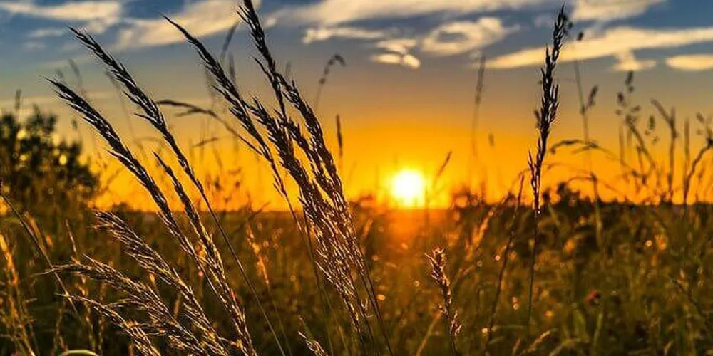 O maior acumulado mensal de chuva ocorreu em Francisco Beltrão, no Sudoeste, onde choveu 202,4 mm