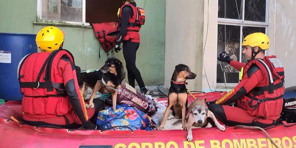 O curso também contou com aulas de condução de veículos 4x4