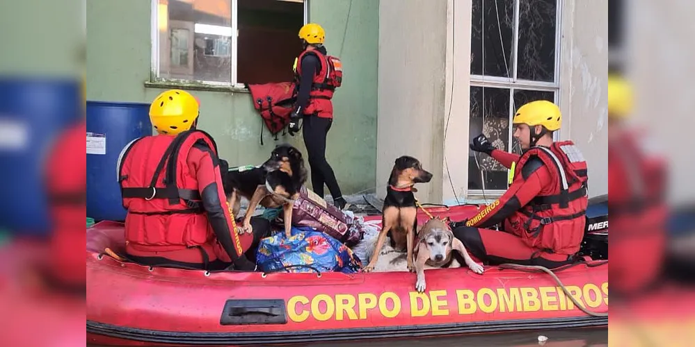 O curso também contou com aulas de condução de veículos 4x4