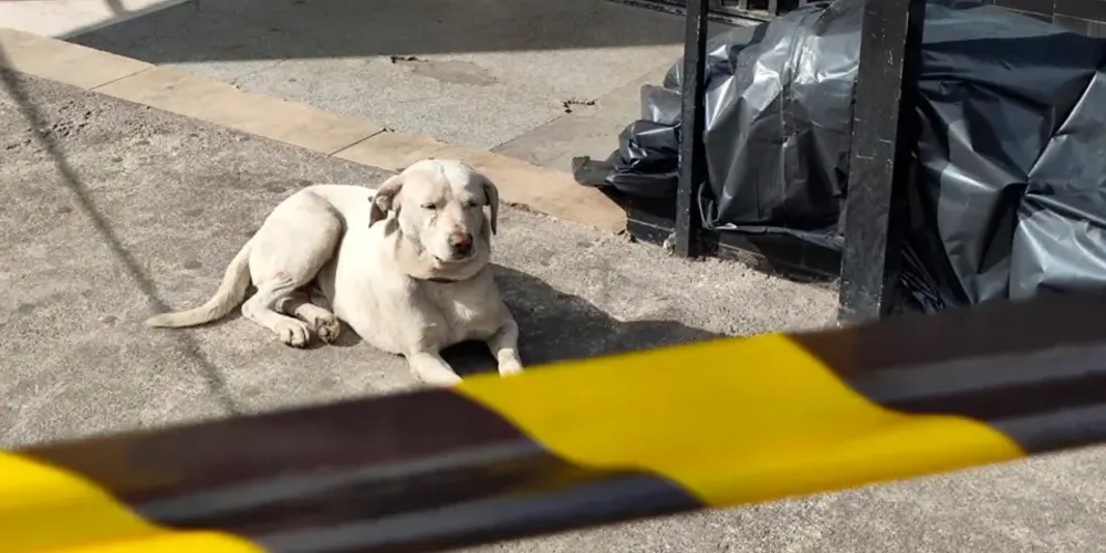 A informação inicial é a de que ele pode ter caído, após passar mal, e morreu