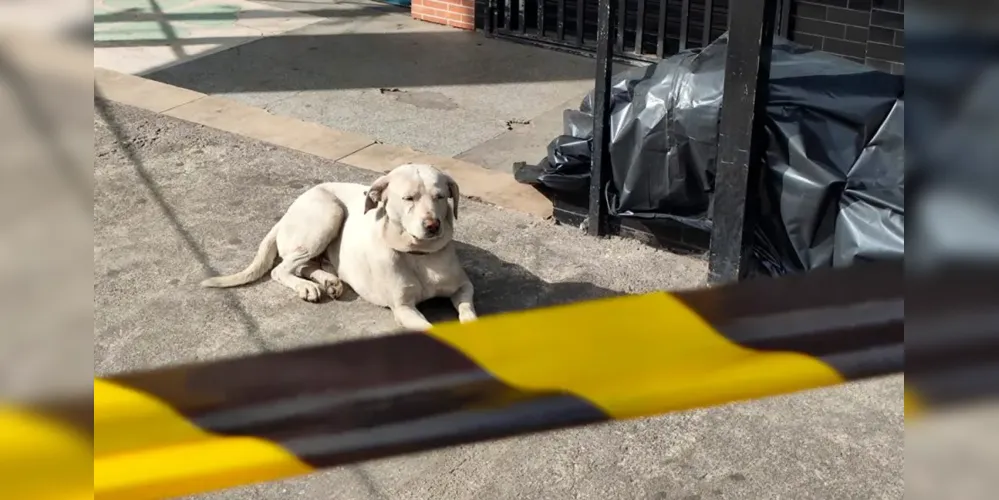 A informação inicial é a de que ele pode ter caído, após passar mal, e morreu