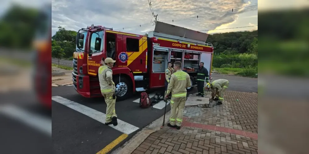 Os bombeiros foram acionados para resgatar o pedestre