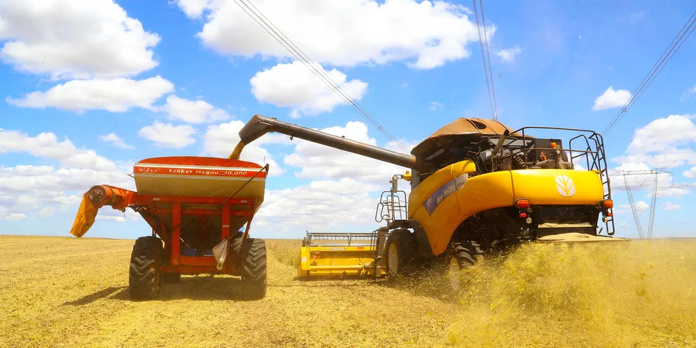No segundo ano consecutivo, a pecuária lidera a formação do Valor Bruto da Produção (VBP) no Paraná