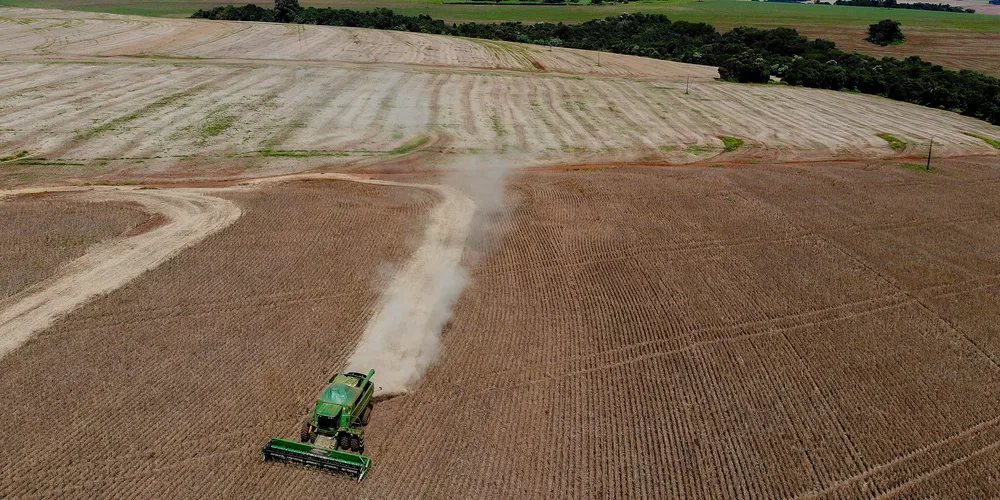 As condições climáticas têm refletido na agricultura de todo o País
