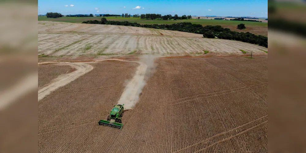 As condições climáticas têm refletido na agricultura de todo o País