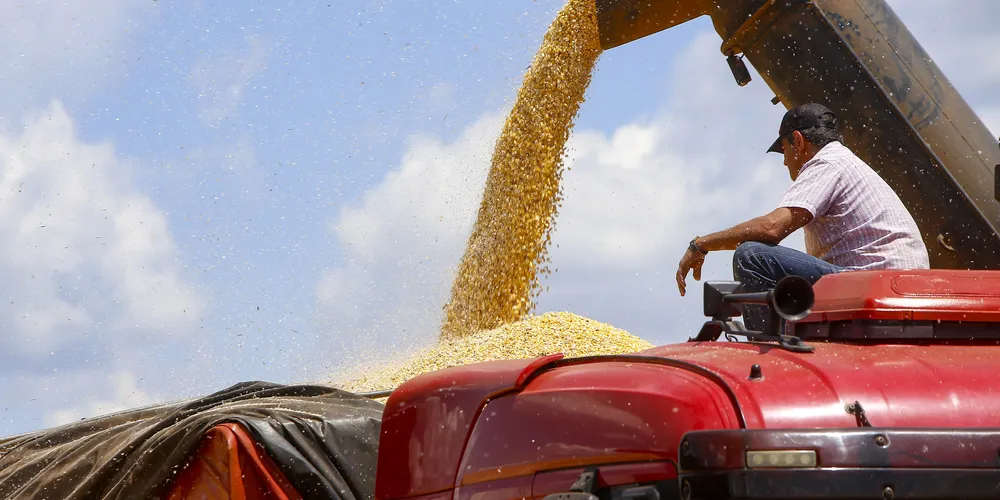 Agricultura foi responsável por 46,6% do faturamento bruto