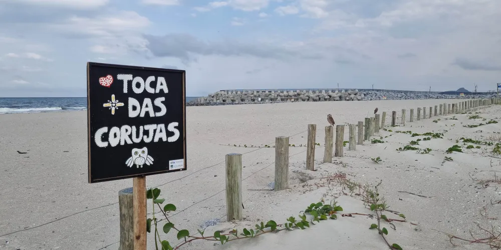 Projeto de recuperação é desenvolvido pelo Instituto Água e Terra.